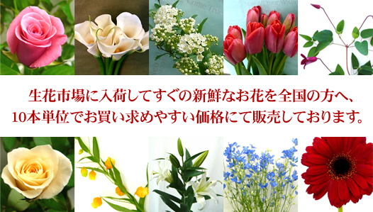 生花市場に入荷してすぐの新鮮なお花を、全国の方へお買い求めやすい価格にて販売しております。