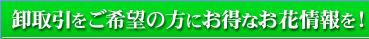 卸取引をご希望の方にお得なお花情報を!