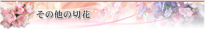 その他の切花