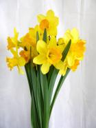 �������󡡥�åѥ�������