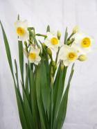 ���ܿ���