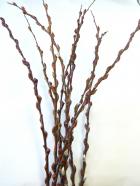 �������ʥ�