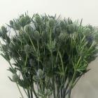 ����󥸥塼�ࡡ�֥�ݥ����ʥޥ���