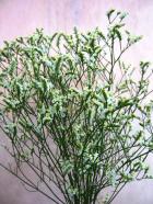 ����������HB����