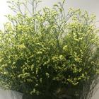 ����������HB������