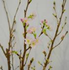 ��������������