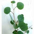 �桼���ꡡ�ݥꥢ�󥻥⥹