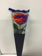 Bath Fragrance���쥤��ܡ����꡼�֡���