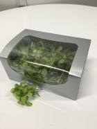 ���������ʾ���