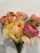 ��ʥ󥭥�饹��������