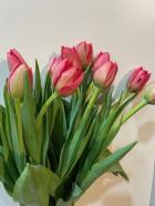 ���塼��åס�Ȭ�šˡ���르